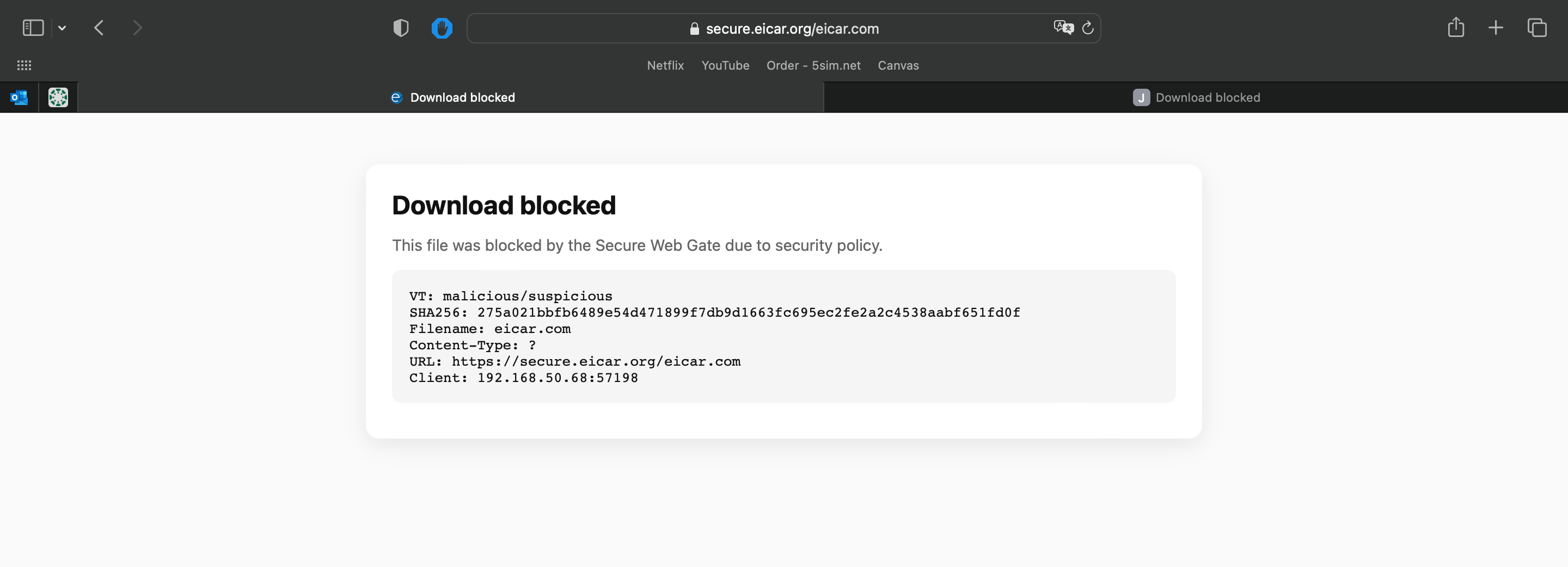 Placeholder screenshot of the gateway block page